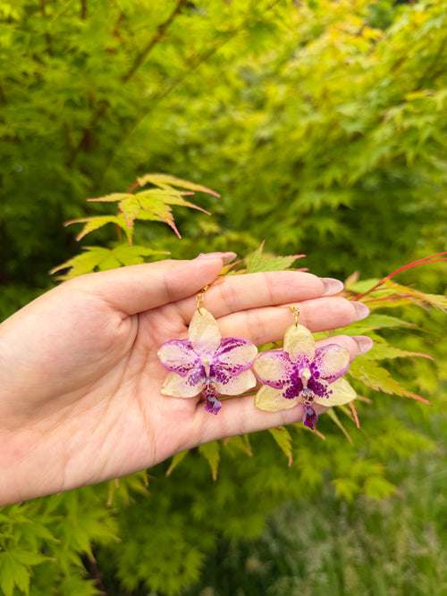 Purple Orchid Earrings